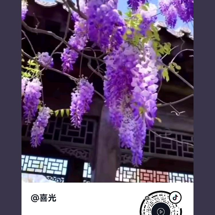 鄢友升