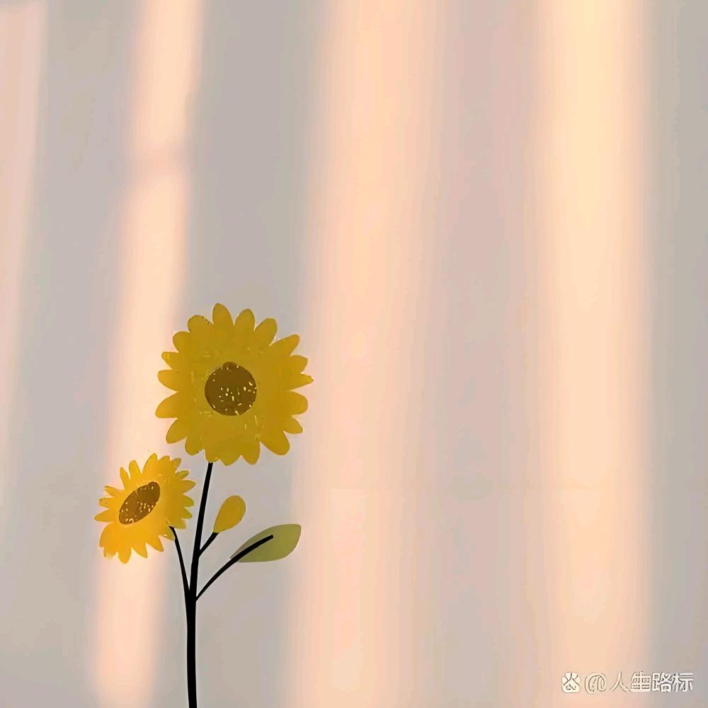 晴小妞儿