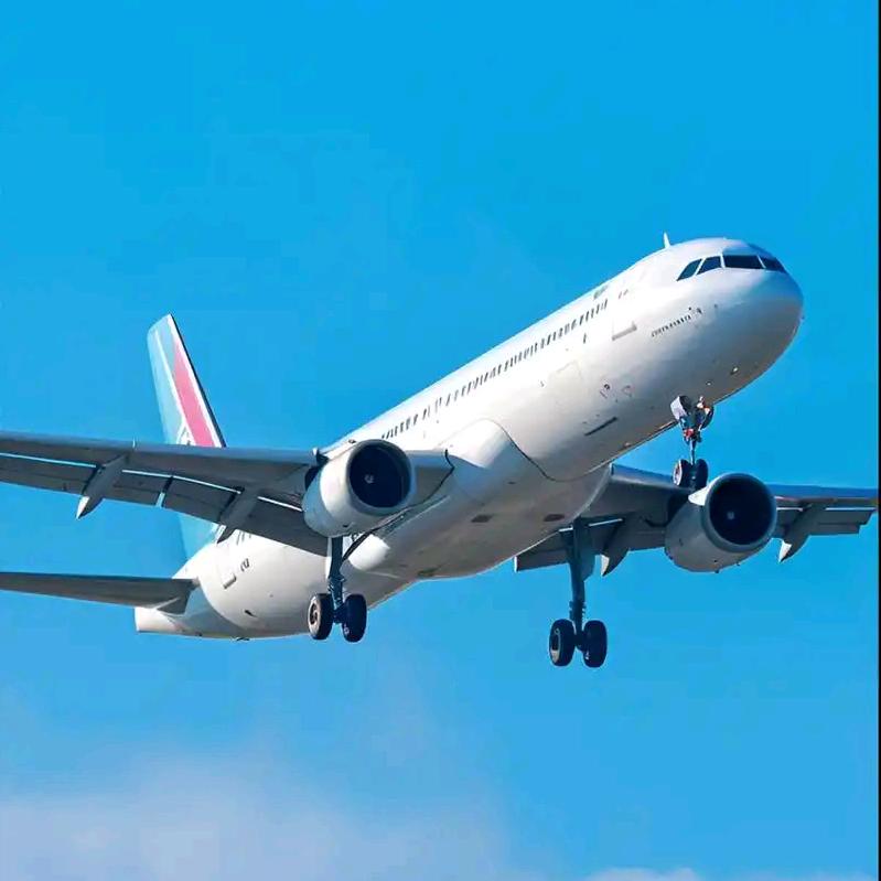 大飞机来了！看飞机起飞🛫