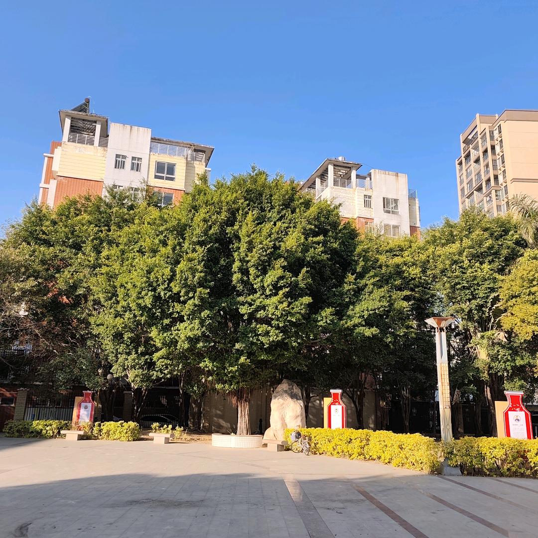 枫溪长美桥雅迪电动车