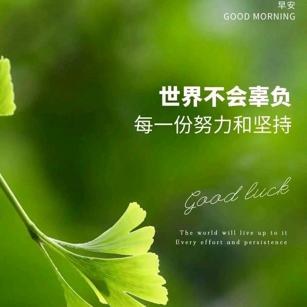 蓝冰