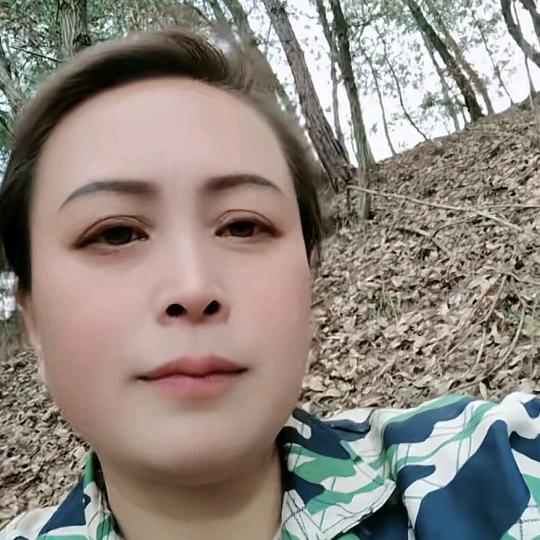 兰花盛开