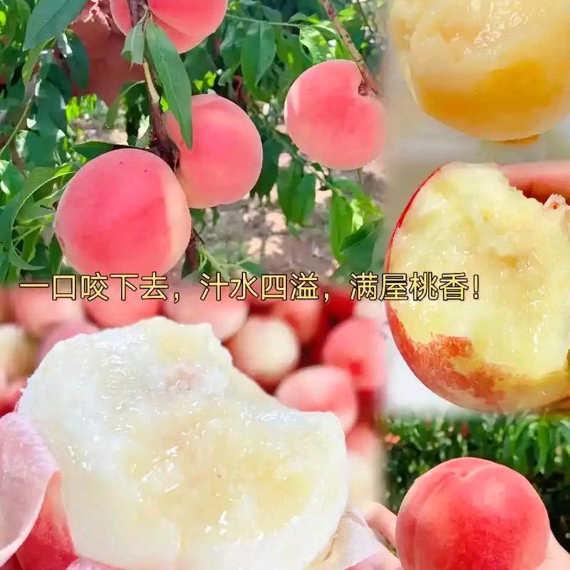踢球水蜜桃