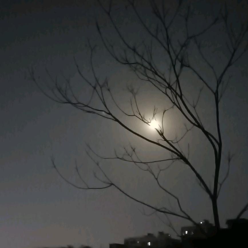 每天1%