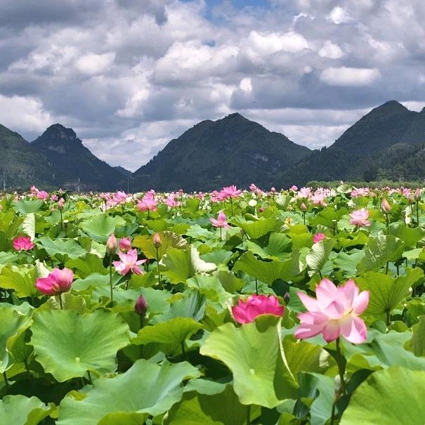 💋ꦿ余生不再将就꧔ꦿ᭄