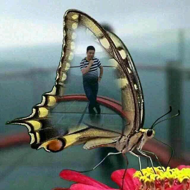 脸嘴豆是提款机