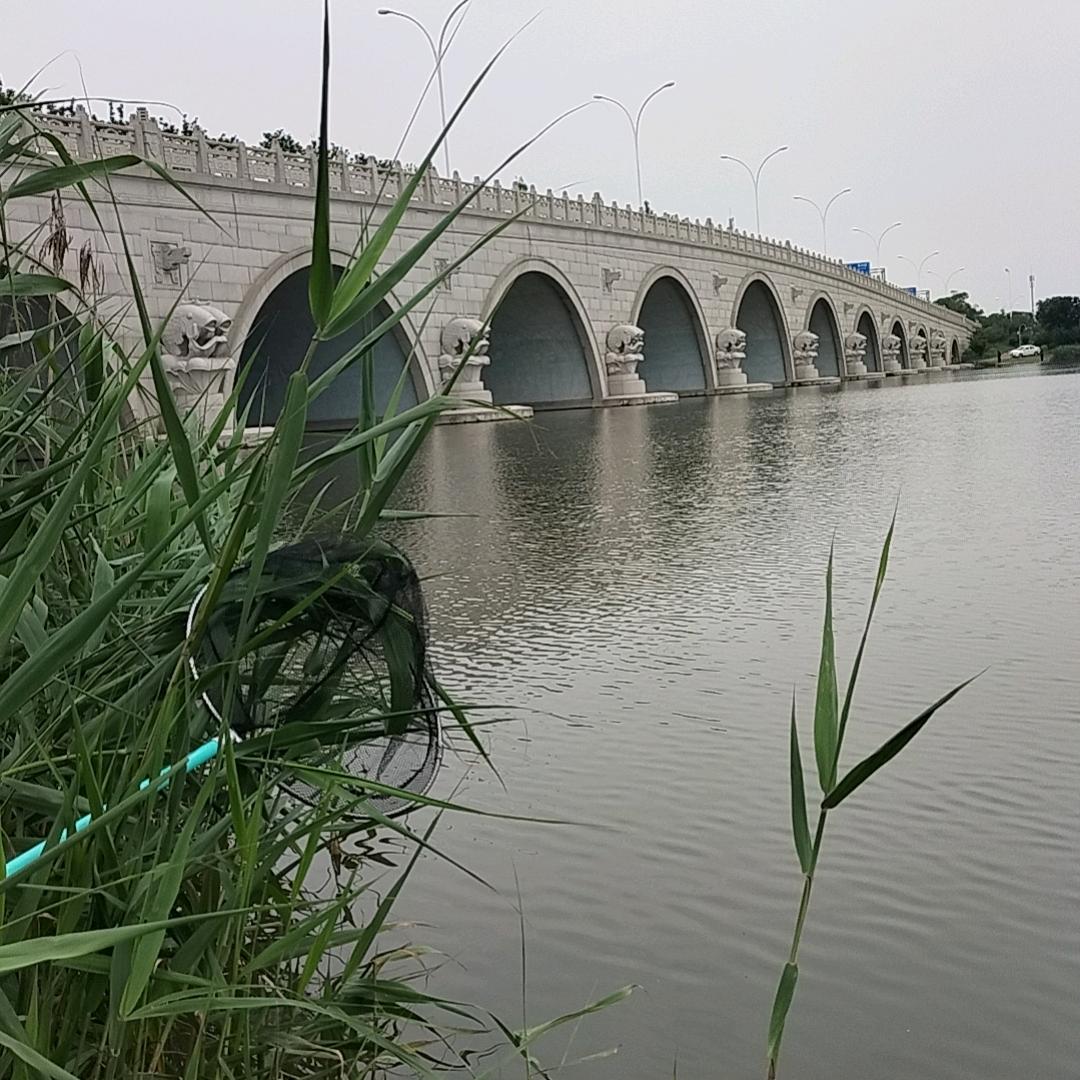 霸道是我本性