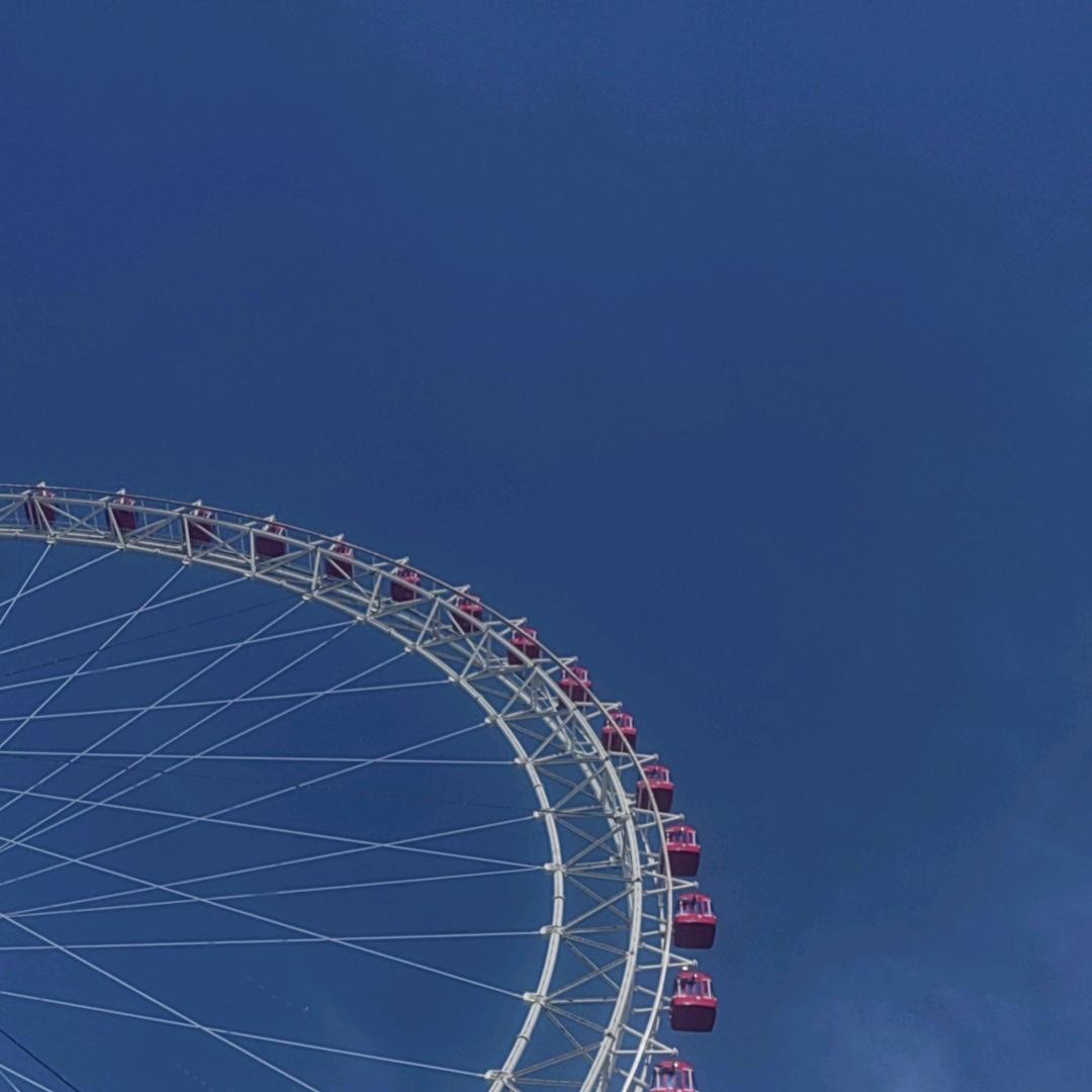 杨暑锋。金丰种业