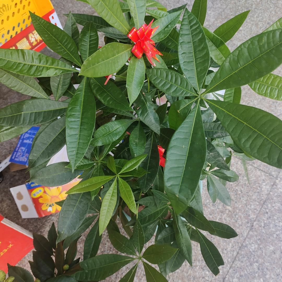 70后的宝藏吖