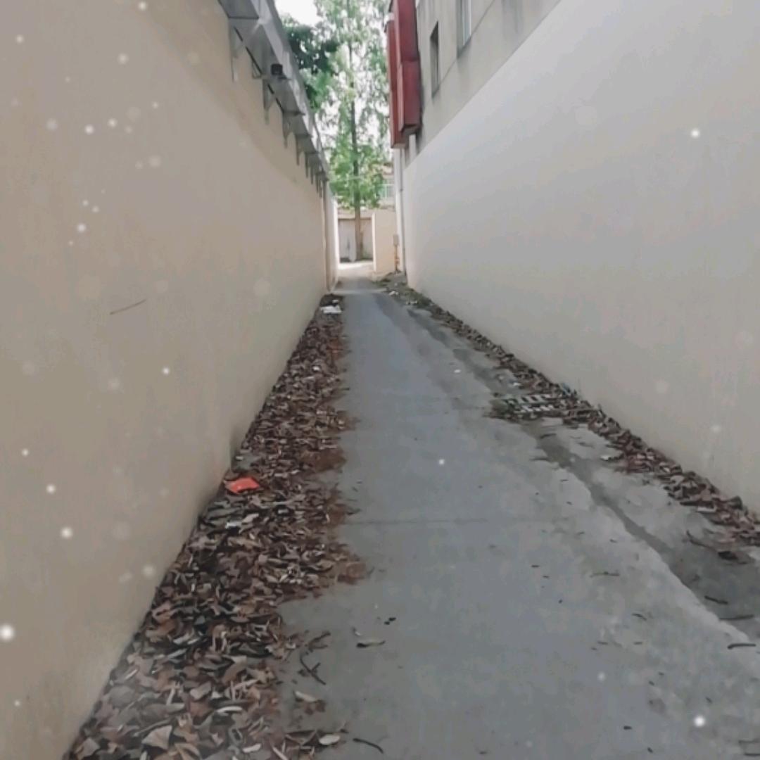 小薪