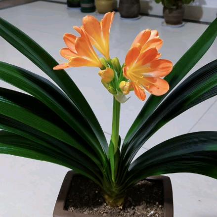 自强不息，绝地重生