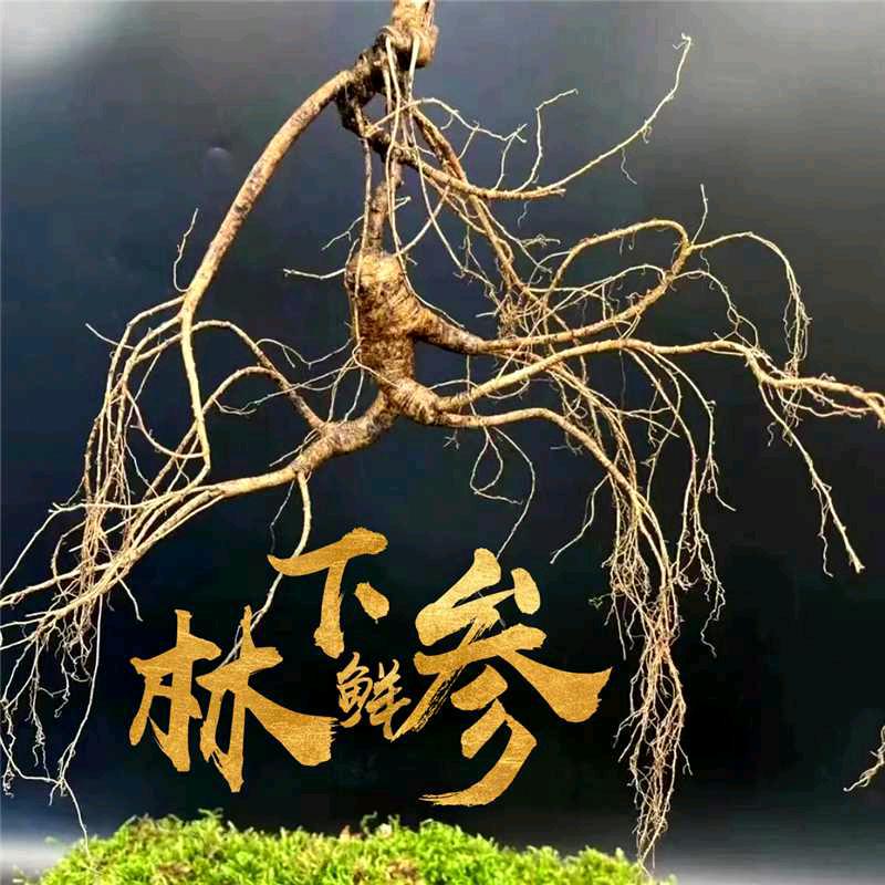 华参汇滋补养生企业店