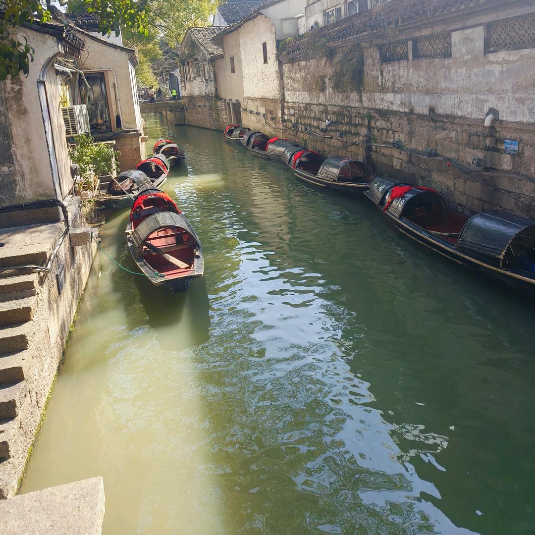 顺其自然，一路生花