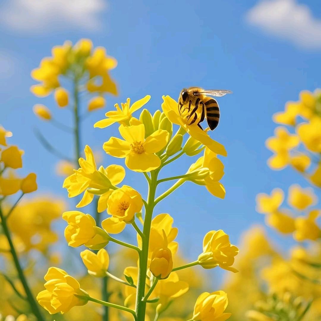 奥润汁产业基地