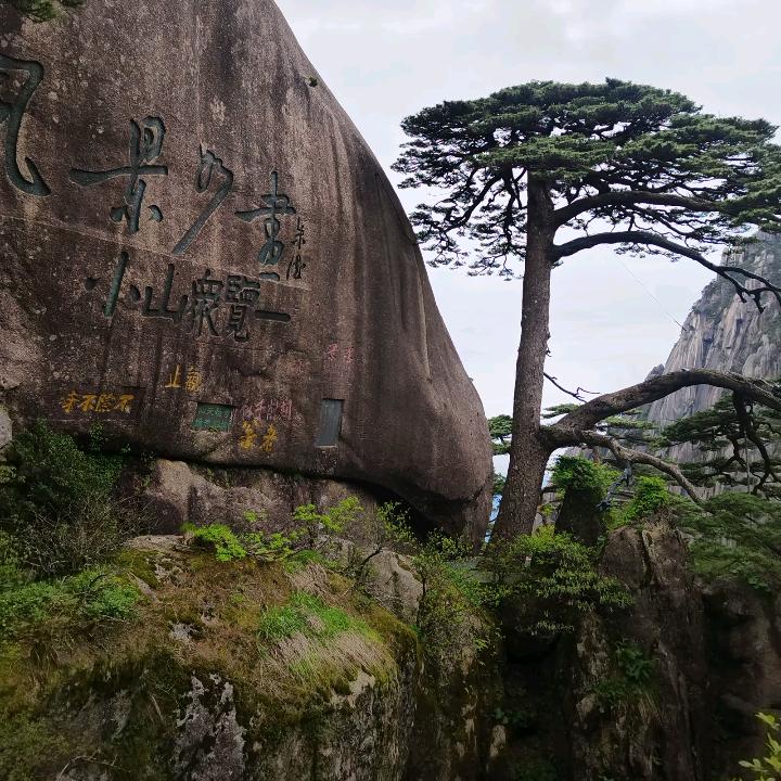 励力前行