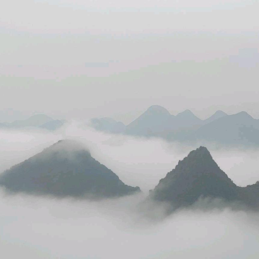 老豆腐