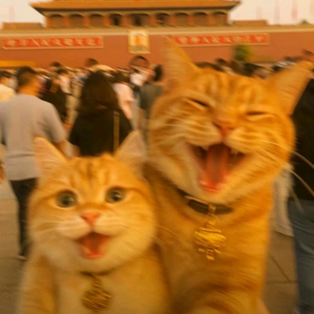 过而不改，是谓过矣