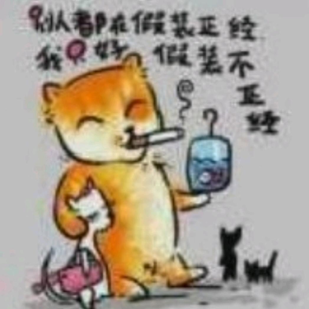 若只如初见