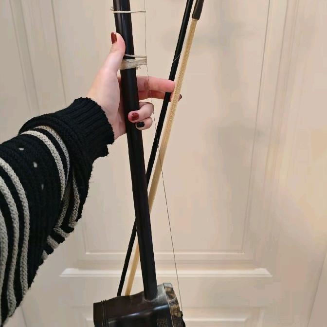 🌹琴深艺长🌹