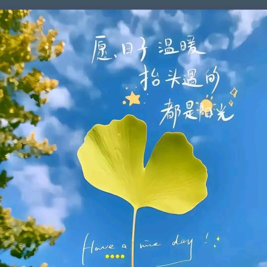 今生有你x