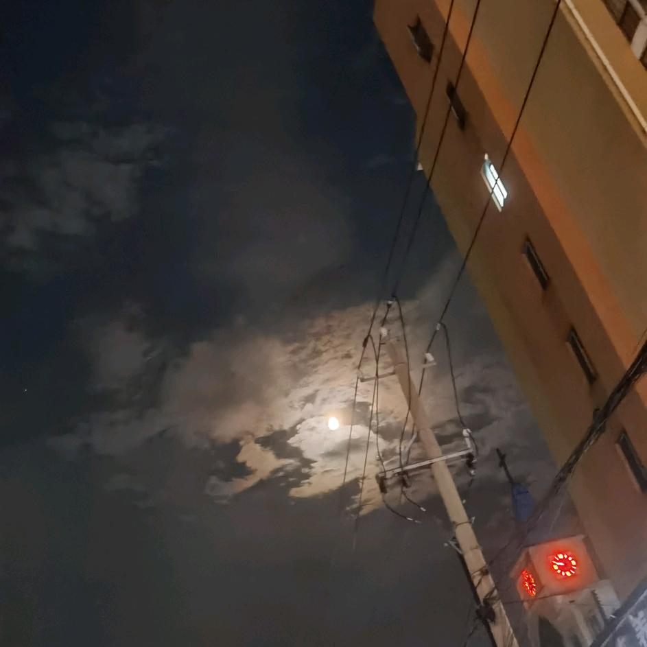 蔡老大