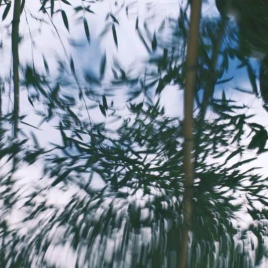 随风晓悦