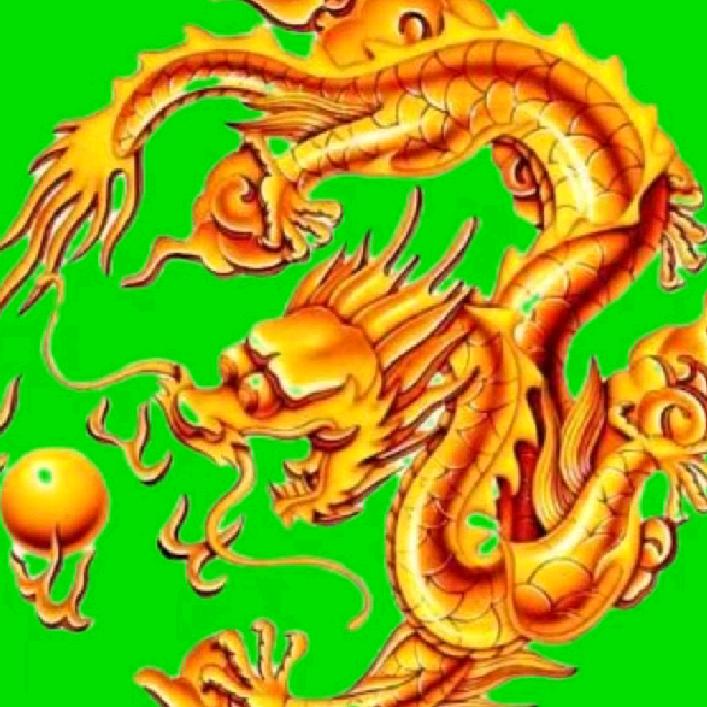 龙城天下
