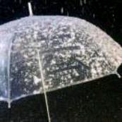 我有一个聚宝盆