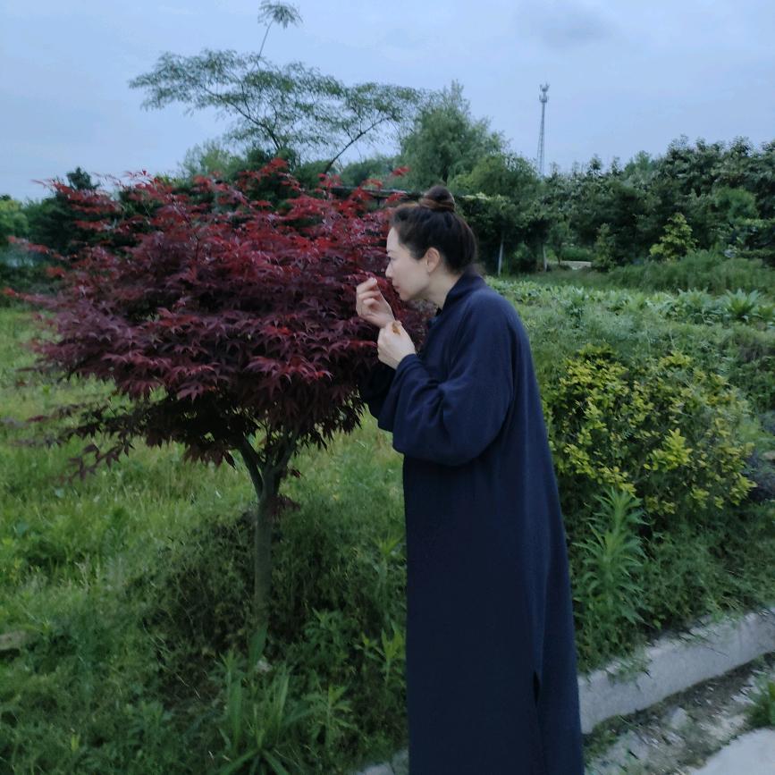 兰花指（心灵驿站）