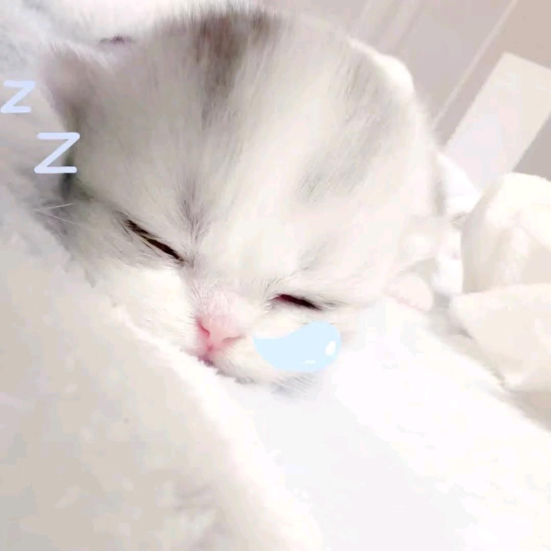 心痛思恋