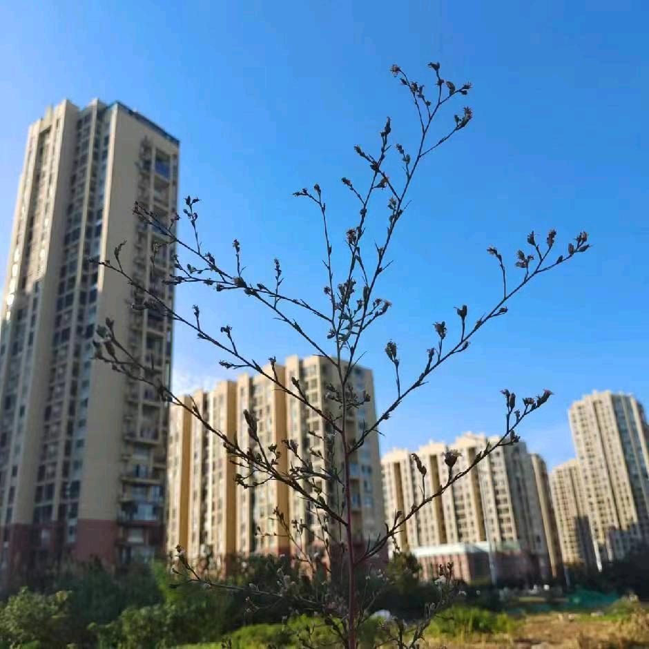 老孙民间