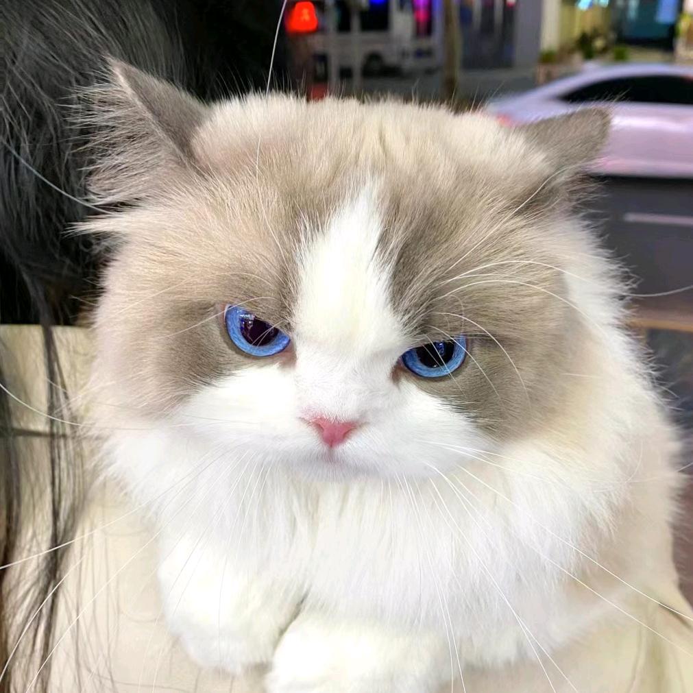 🌈*写诗的空空