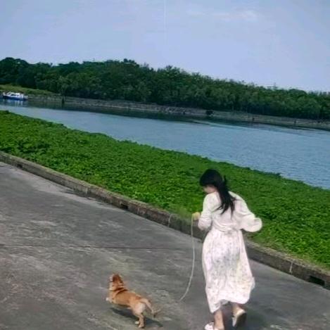 ꧁燃❥꧂