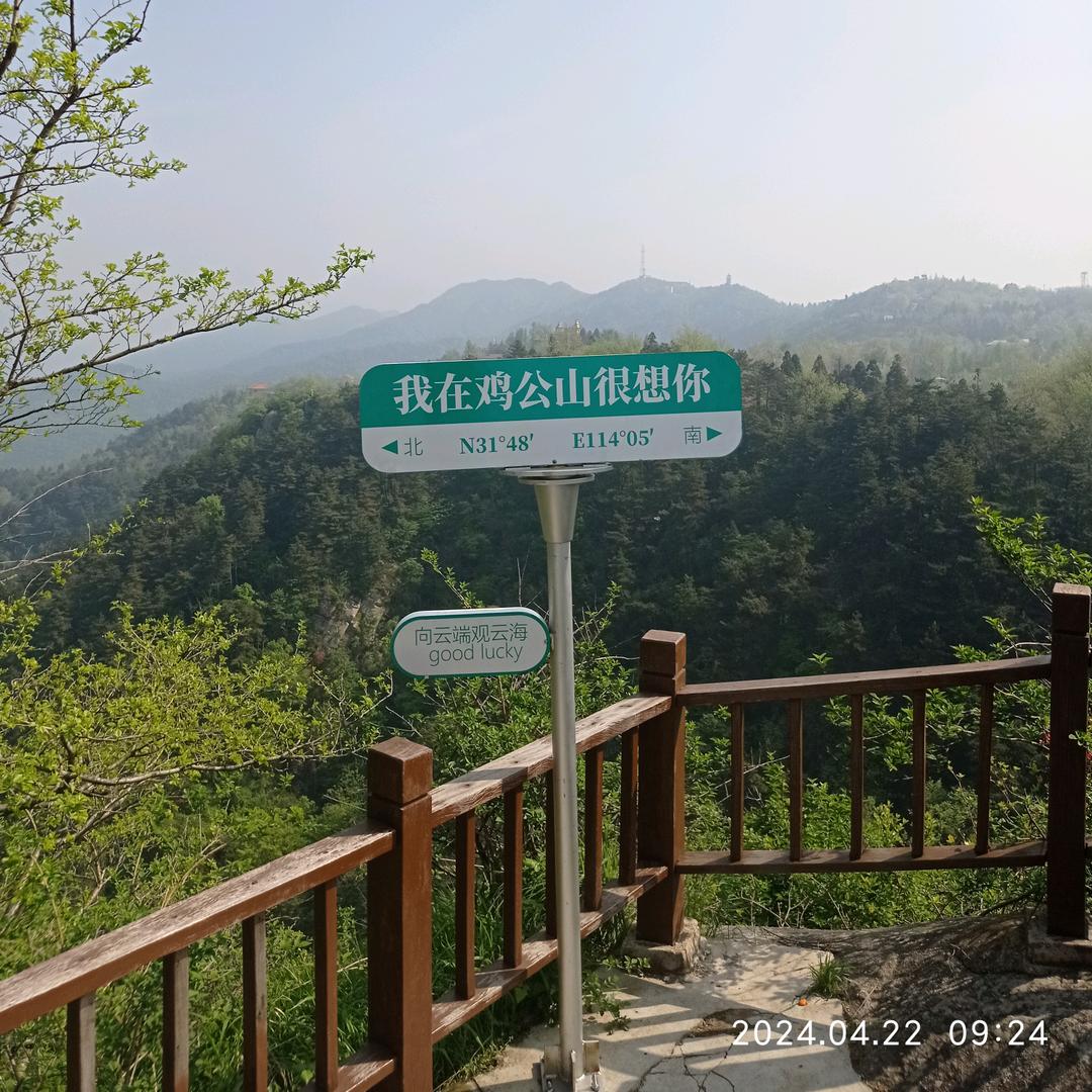 @世界城雅迪👌