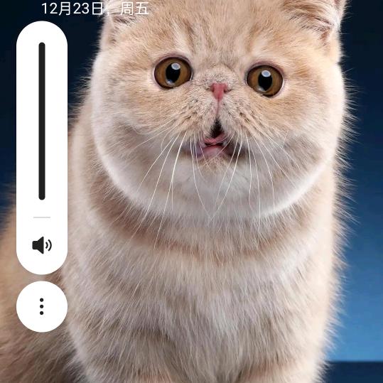 娟