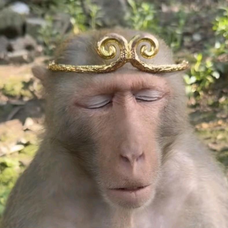 迟凛季ʕ̯•͡˔•̯᷅ʔ