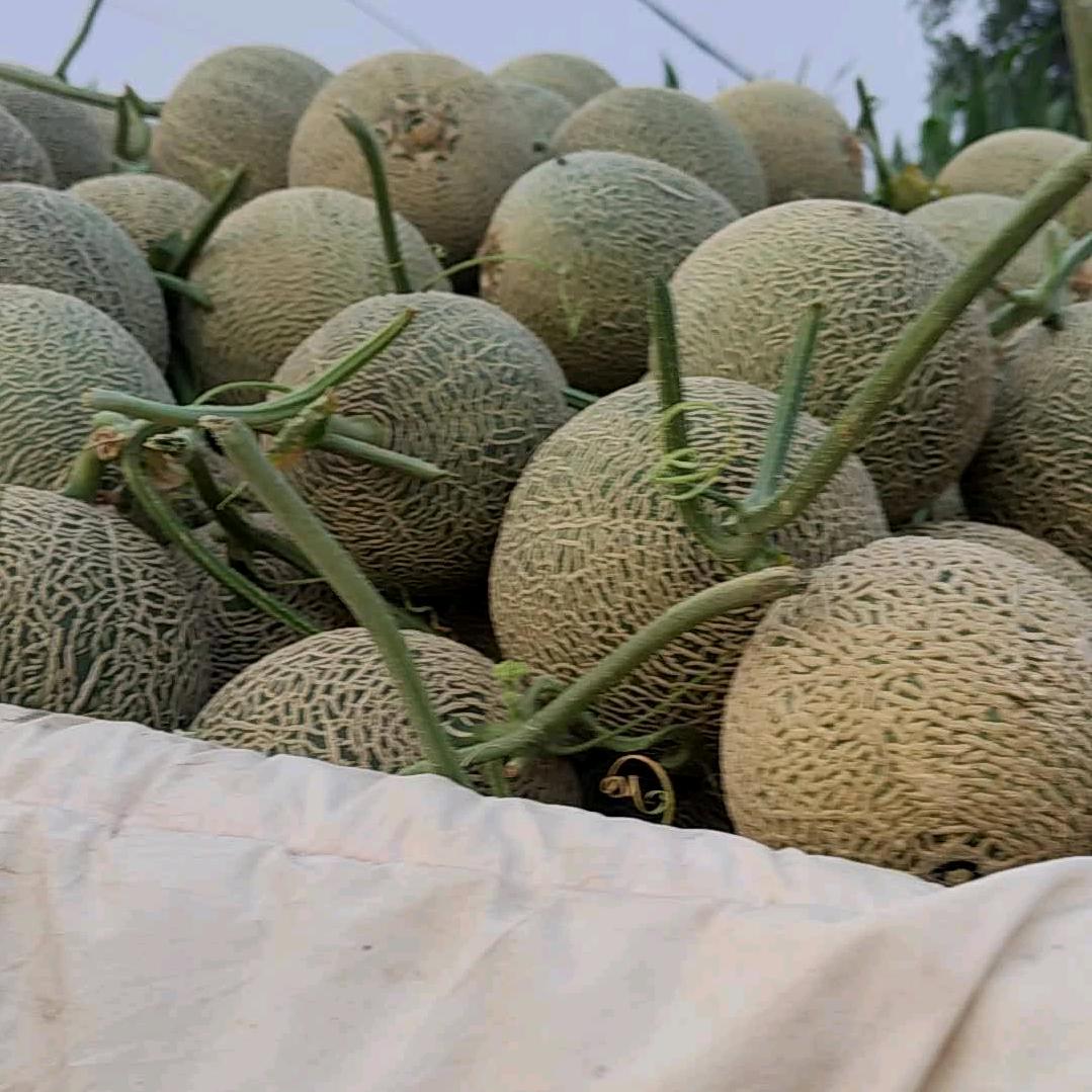 风雨之后是彩虹