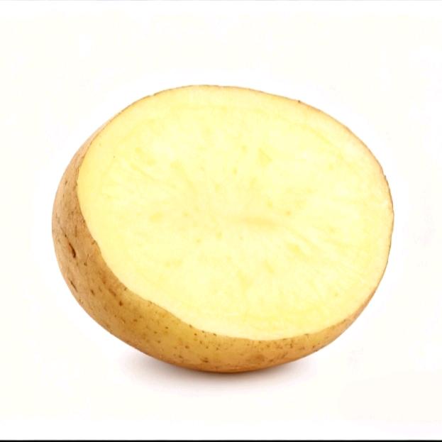贞熙