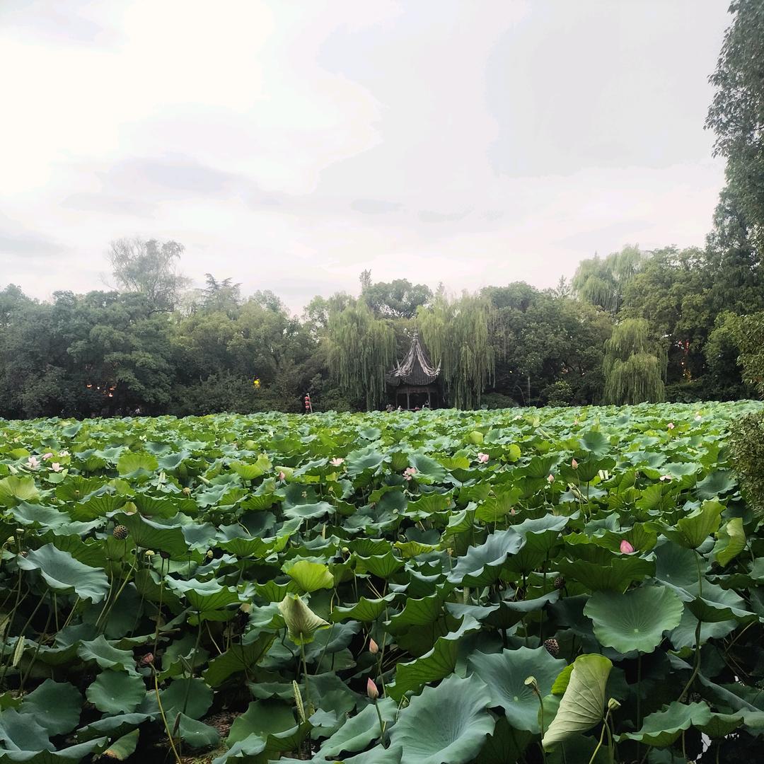 ꧁顺其自然᭄ᩚ꯭ᩚ꧂