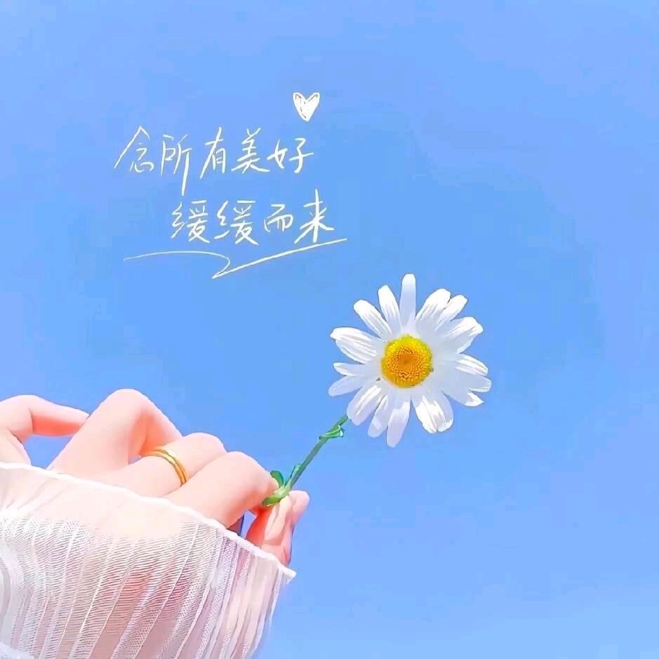 琳姐