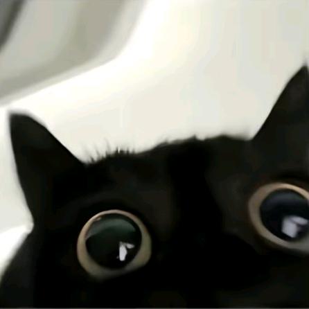 折耳根是苕皮搭子.🍉