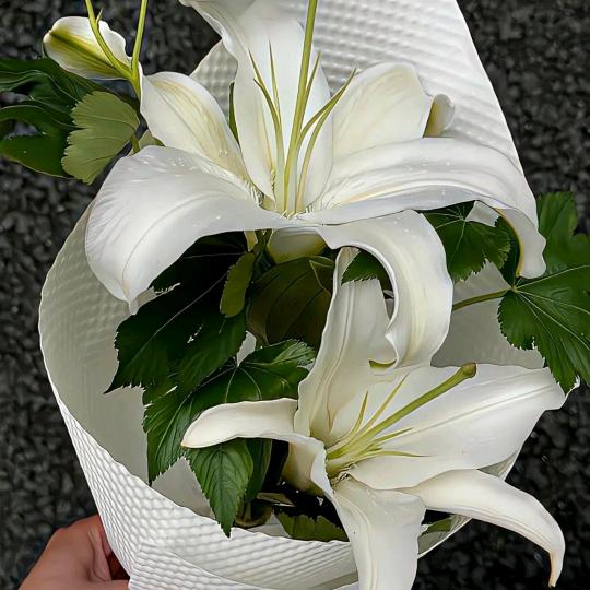 暮冬