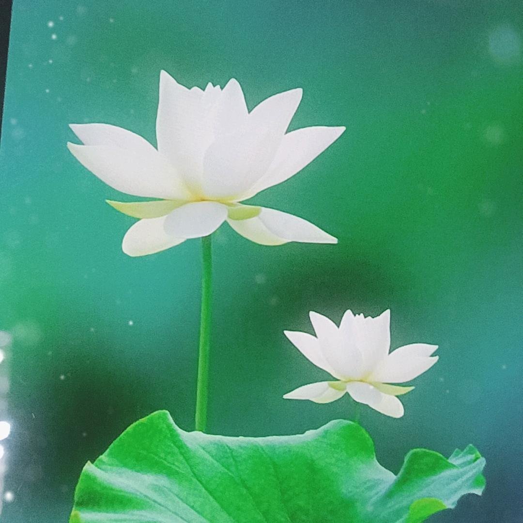 一生有你❤️