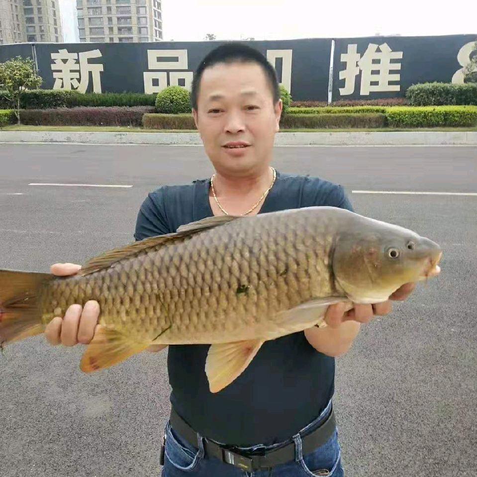美丽的家乡哥