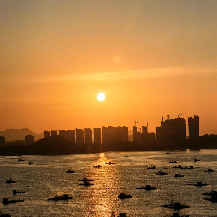 夫子蓝