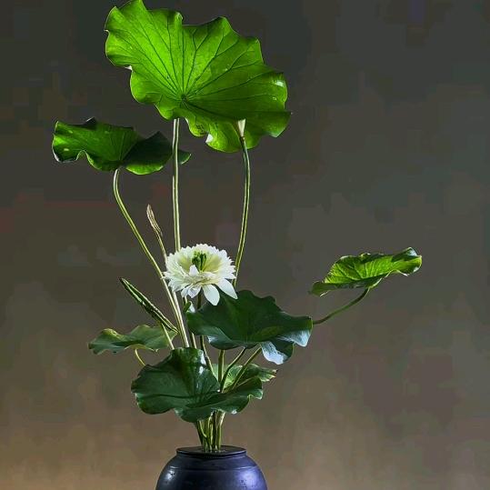 ᭄ᩚ忕ℒᎭℯ⃝佪࿐