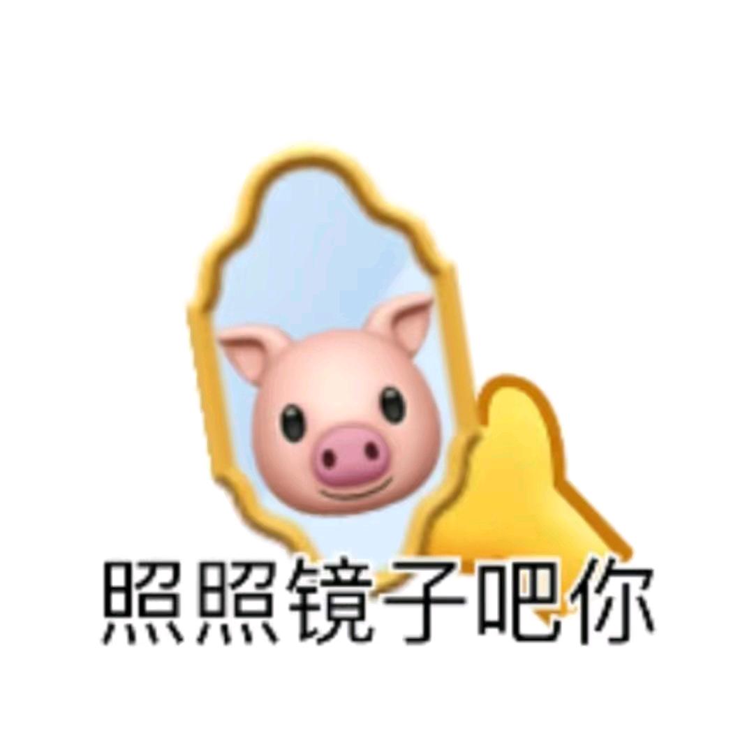 镜子里的人说假话🪞