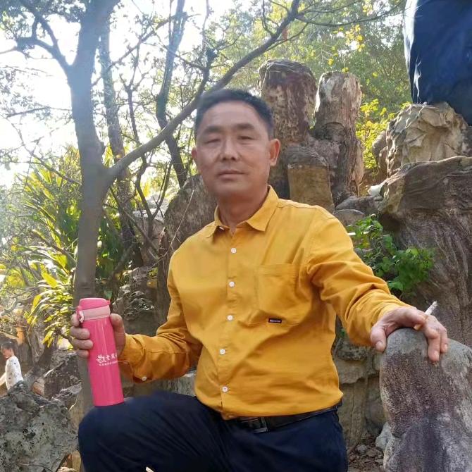 自由飞翔