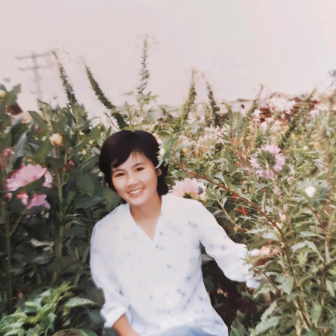 陈，