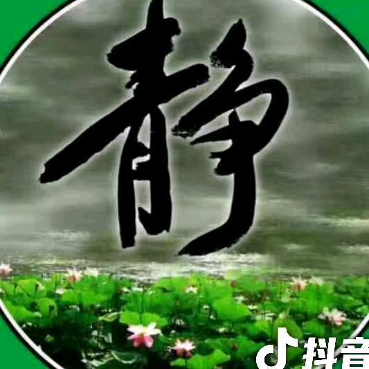 淡定z